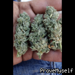 Meet OckBud on ProveMyself